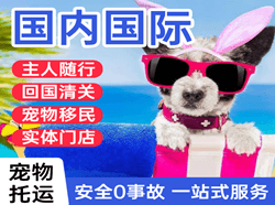 黔南荔波航空运输国际宠物托运 【国